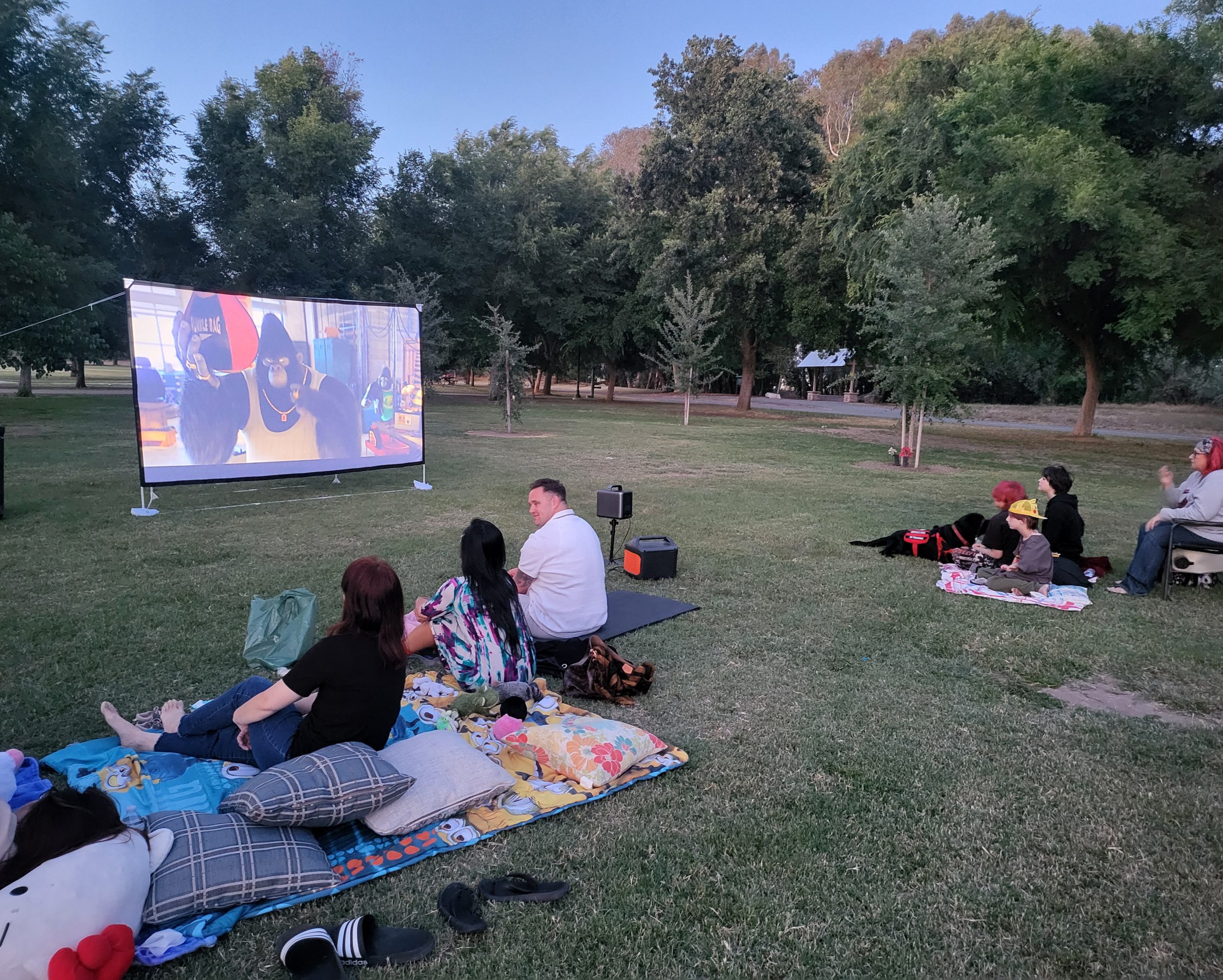 Movie in the park Dry Creek Park in Clovis